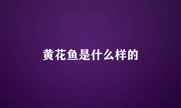 黄花鱼是什么样的