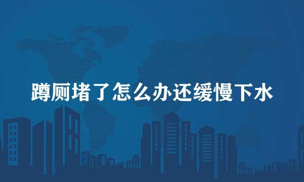 蹲厕堵了怎么办还缓慢下水
