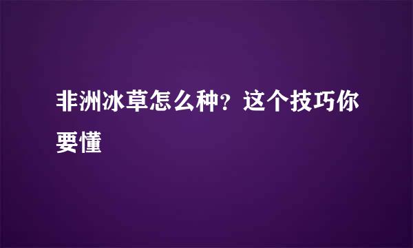 非洲冰草怎么种？这个技巧你要懂