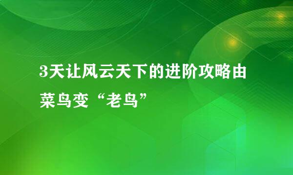 3天让风云天下的进阶攻略由菜鸟变“老鸟”