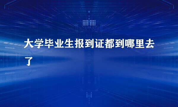 大学毕业生报到证都到哪里去了