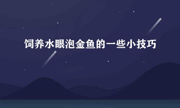 饲养水眼泡金鱼的一些小技巧