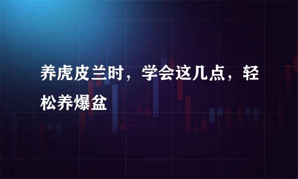 养虎皮兰时，学会这几点，轻松养爆盆
