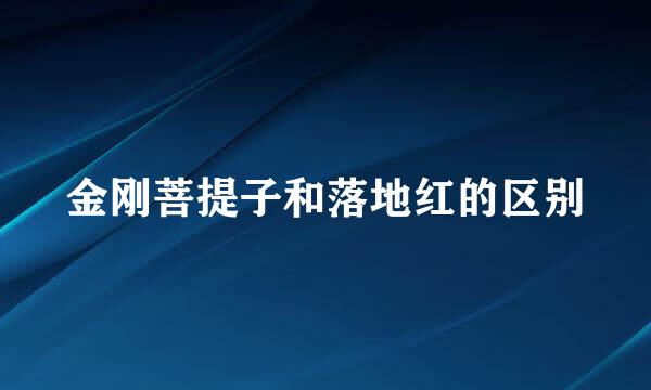 金刚菩提子和落地红的区别