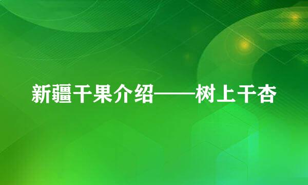 新疆干果介绍——树上干杏