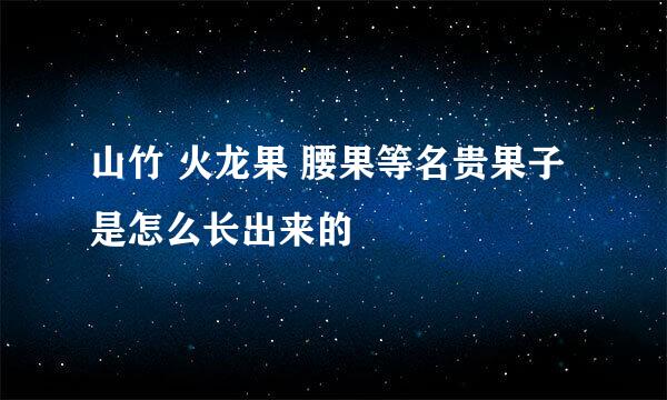 山竹 火龙果 腰果等名贵果子是怎么长出来的
