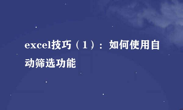 excel技巧（1）：如何使用自动筛选功能