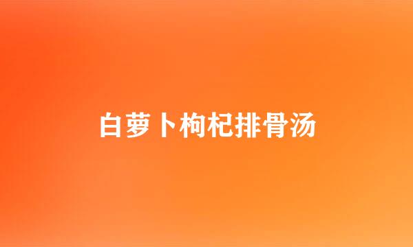 白萝卜枸杞排骨汤