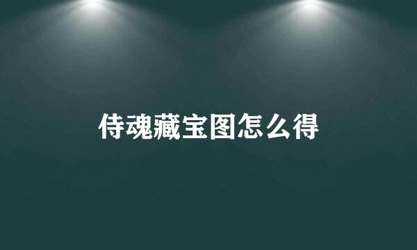 侍魂藏宝图怎么得