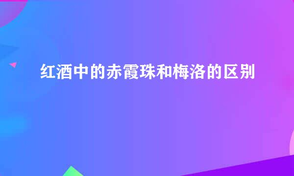红酒中的赤霞珠和梅洛的区别