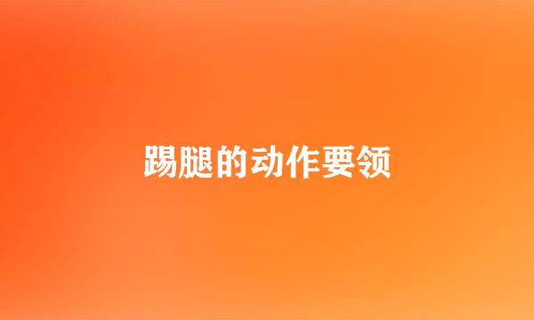 踢腿的动作要领