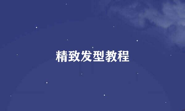 精致发型教程