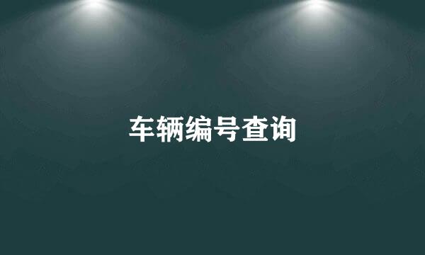 车辆编号查询